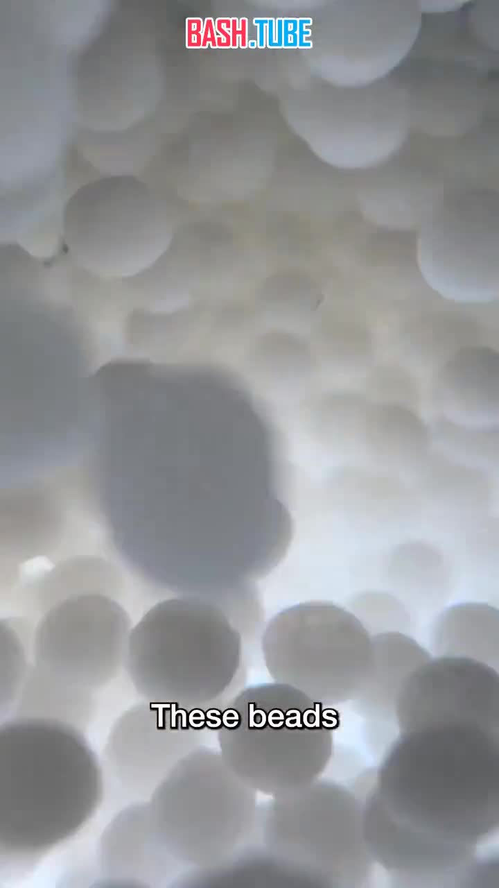  Китайцы изобрели БАБЛТИ для похудения - «съедобный Оземпик» позволяет сбросить до 17% веса