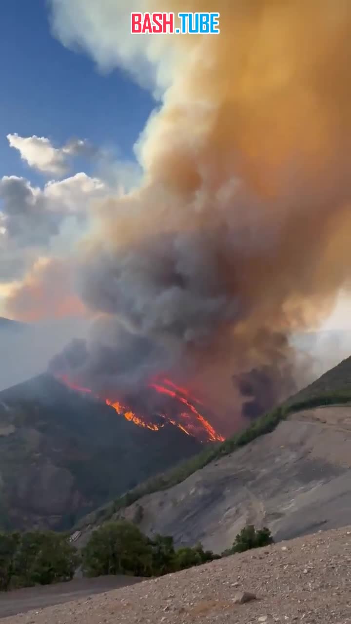  В Испании продолжаются лесные пожары, ежедневно обновляя рекорды по выгоранию территорий страны