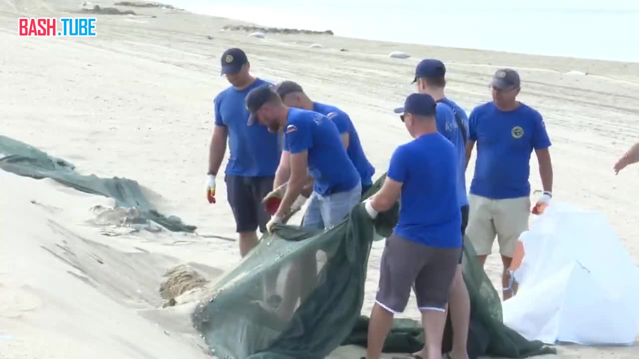  В Анапе завершили первичный сбор мазута со дна моря