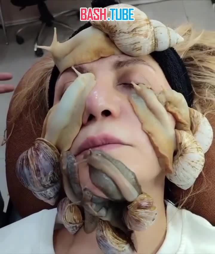  Очередная бьюти-шиза охватила россиянок: ради «вечной молодости» они кладут на лицо гигантских африканских улиток