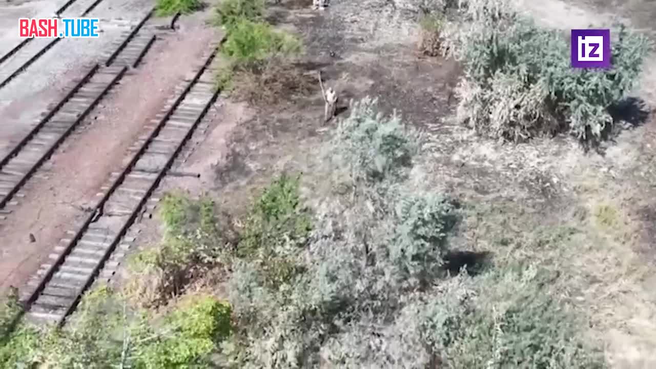  Российские десантники попытались спасти украинского военнослужащего, решившего сдаться в плен