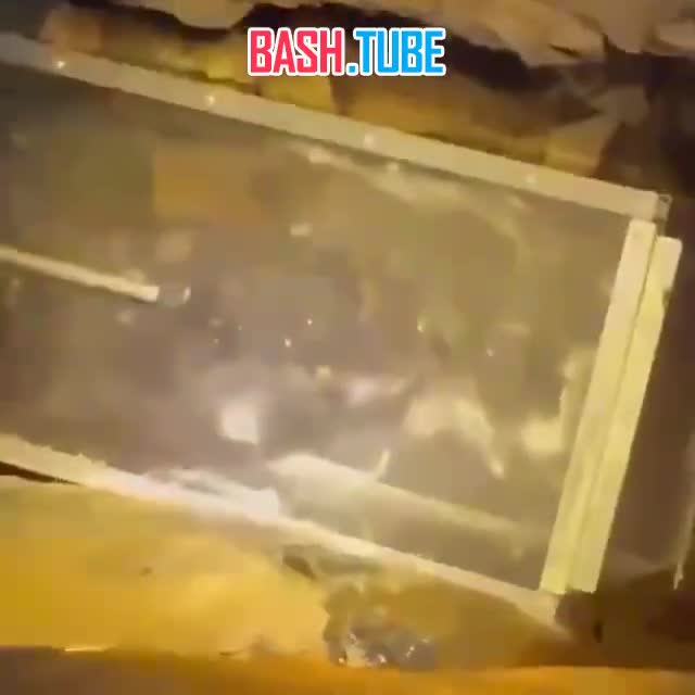  В Москве спасли кота, который просидел под землей две недели