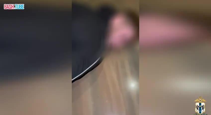  Полицейские в Новосибирске задержали грабителя, который напал на 12-летнего подростка и похитил сумку с миллионом рублей