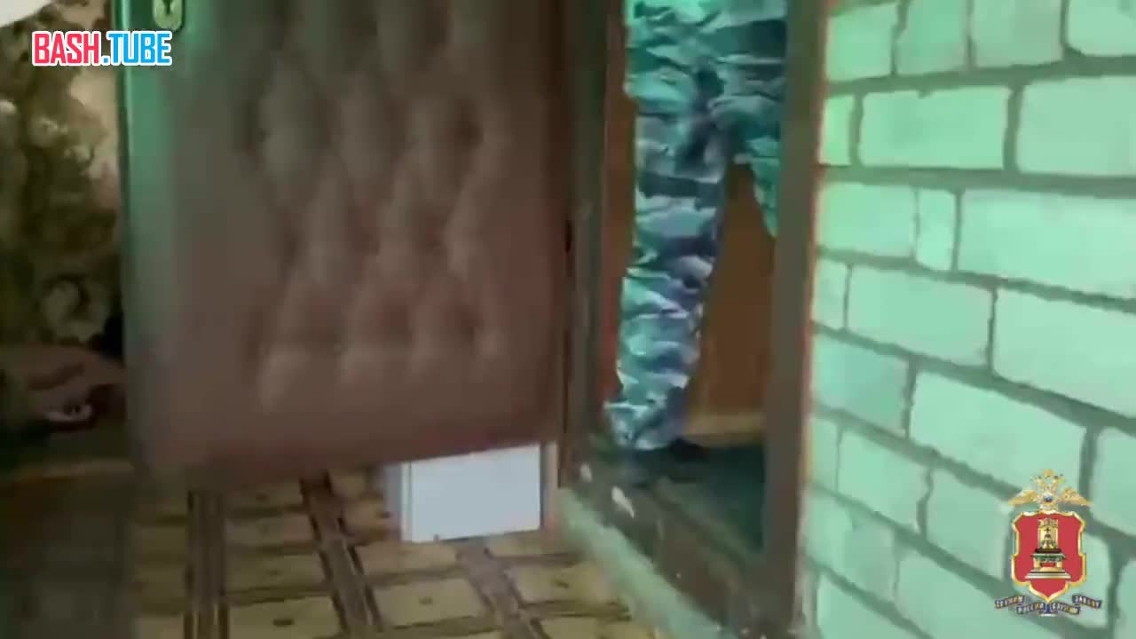  В Твери служебная собака привела к цыгану с целой плантацией конопли