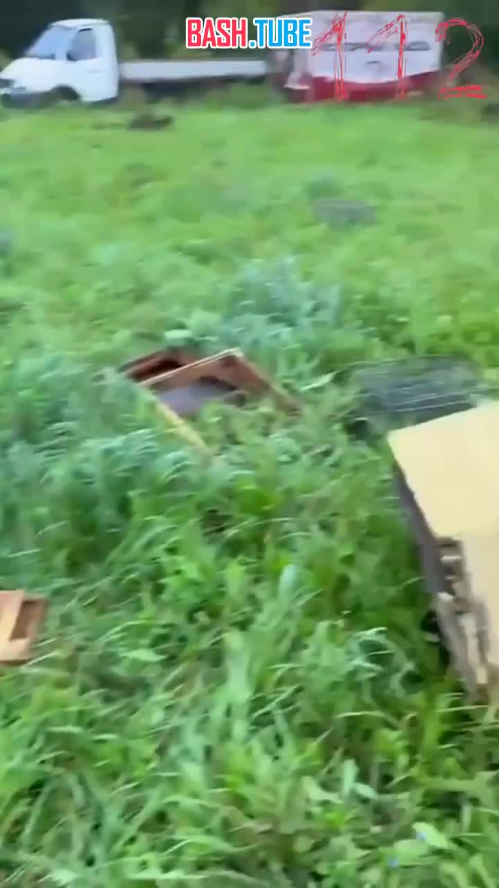  В Башкирии охотничий инспектор пережил налёт медведя на свою дачу. Объектом нападения стал мёд