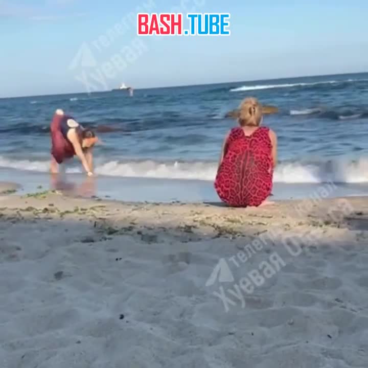  Одесситка выгуливала дочь-квадробершу на местном пляже