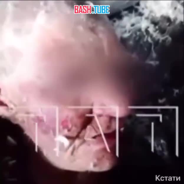  Нижегородская область: двое 14‑летних три дня издевались над пенсионеркой - женщина в реанимации