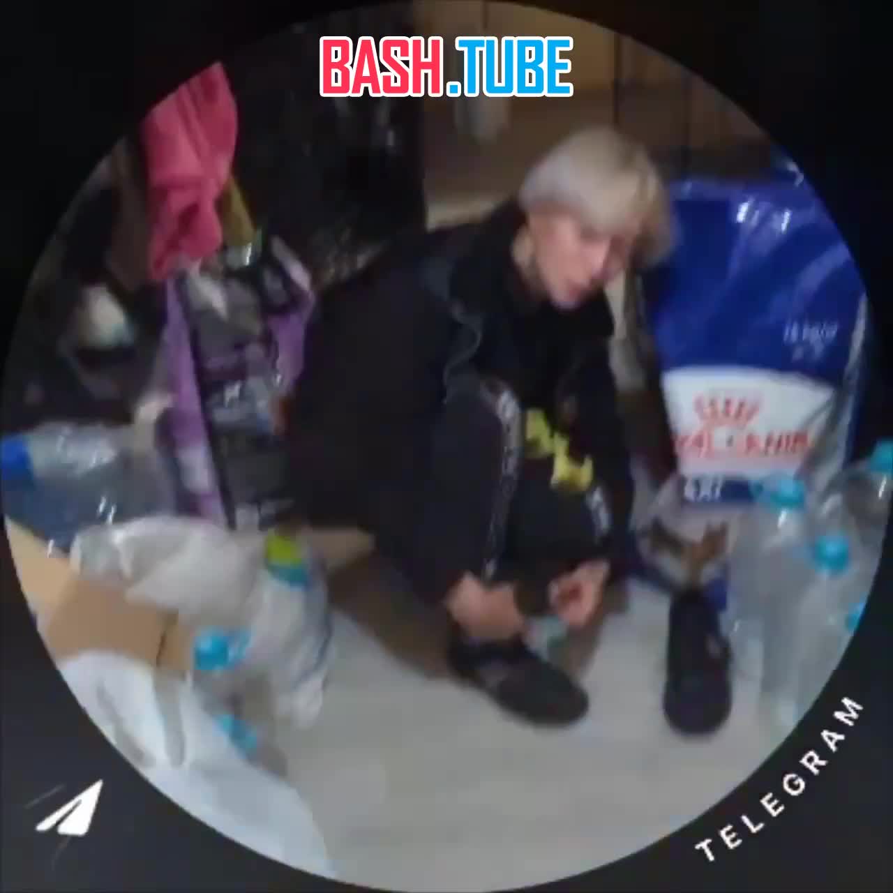  Зоогостиница DogTown закрылась. Возбуждено уголовное дело по факту жестокого обращения с животными