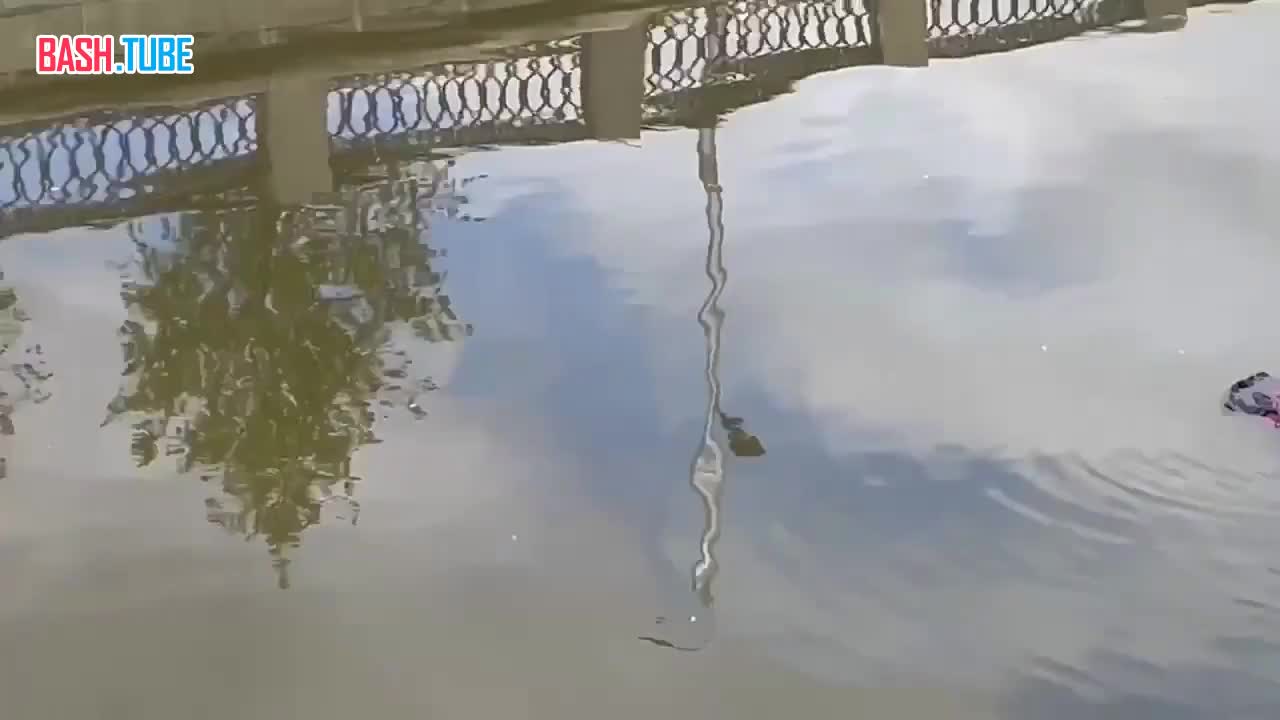  В центре Москвы по Яузе плыл «труп» женщины. Очевидцы вызвали полицию и спасателей