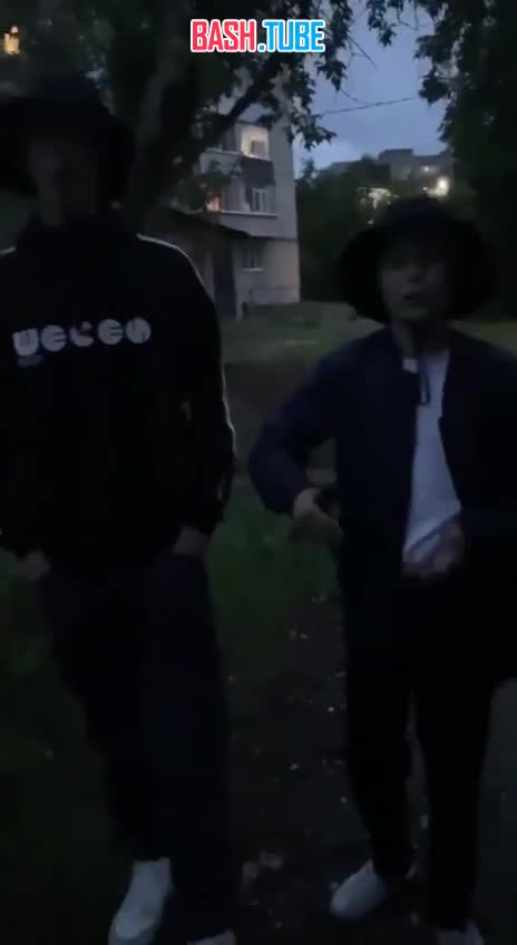  Под Владимиром школьники-нацисты нанесли ножевое ранение мужчине, а также ударили его ногой в лицо ради контента