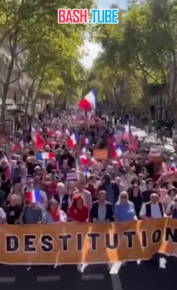  В Париже состоялась акция протеста с призывами к отставке Макрона