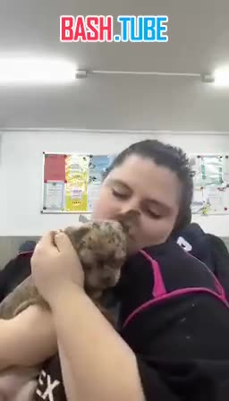  Владелицу тюрьмы для собак сегодня задержали, теперь ей тоже грозит клетка