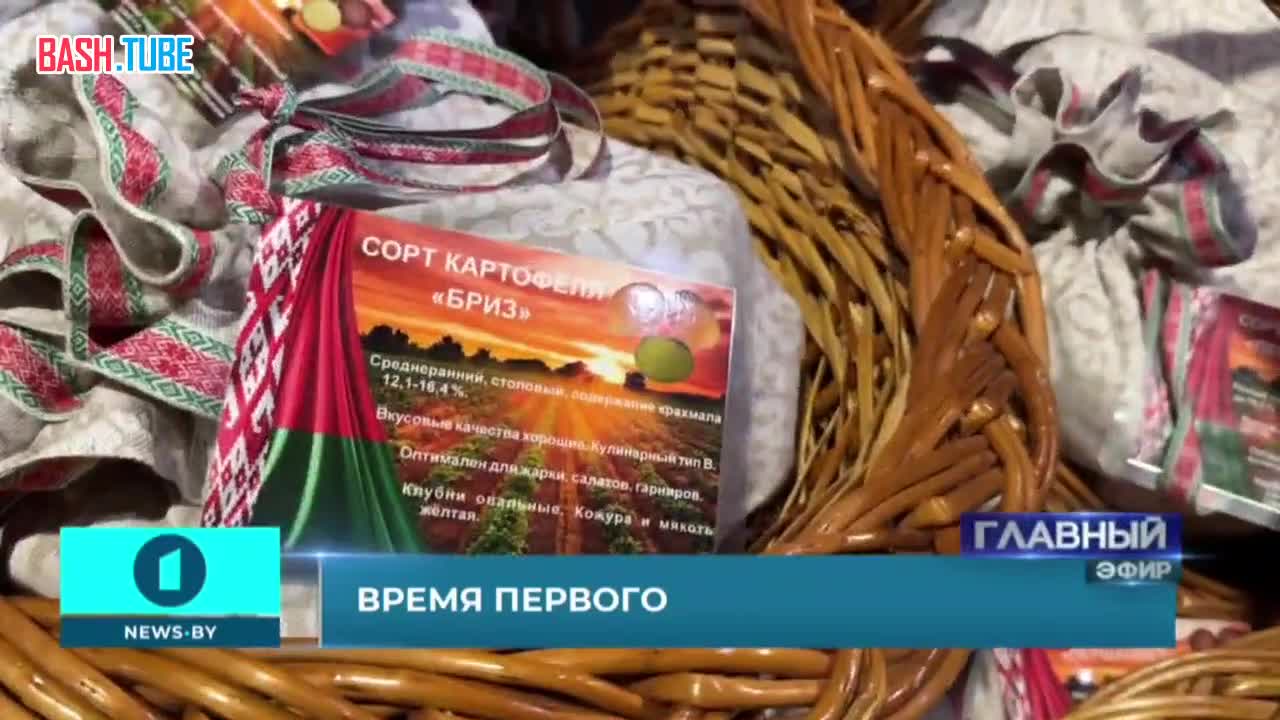  Лукашенко не шутил и все-таки привёз в Китай картошку в подарок лидерам стран ШОС
