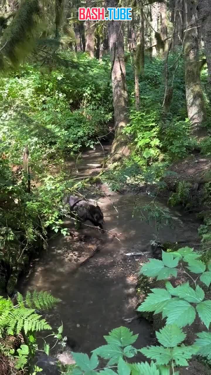  На видео претендент на звание худшего рыбака Сахалина