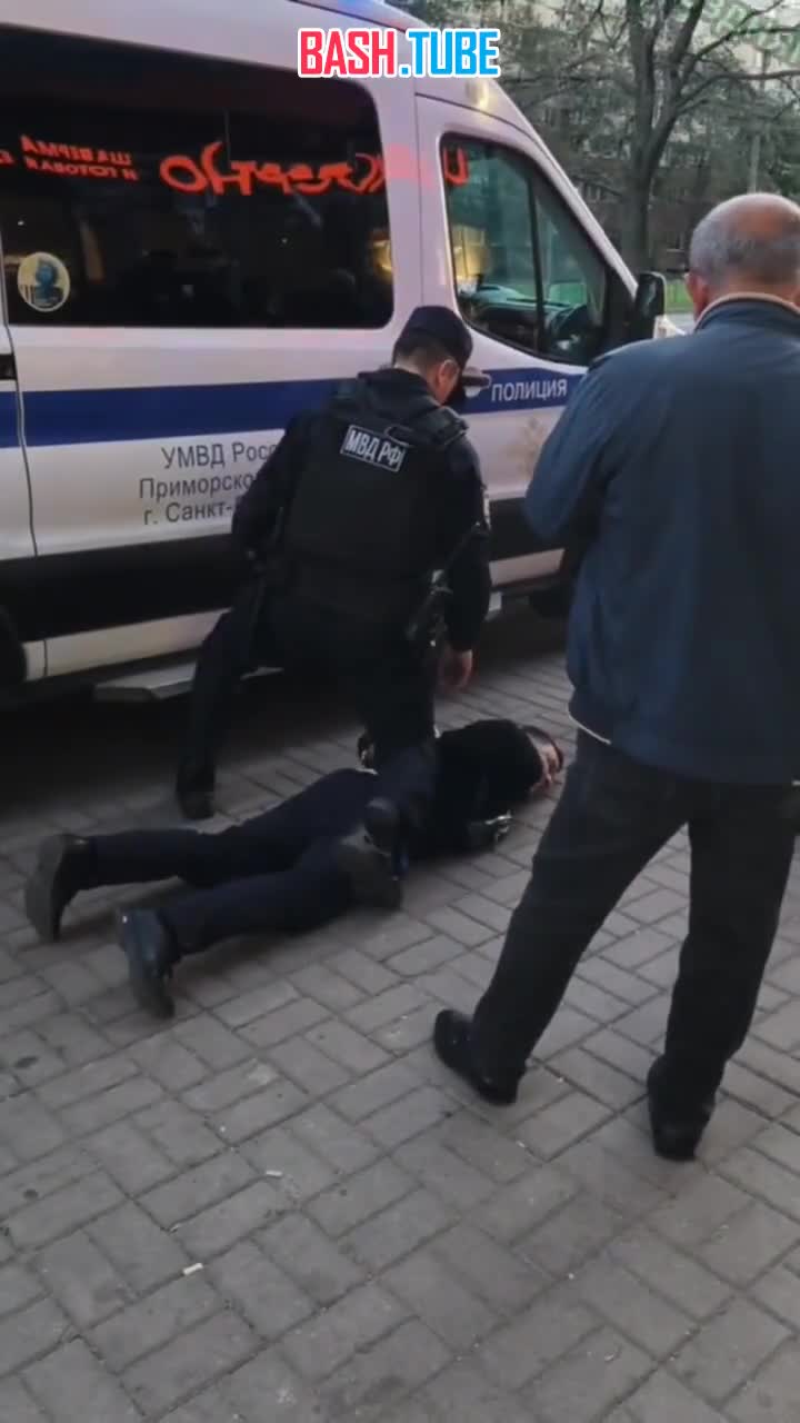  «Пакуй всех»: полиция Петербурга жёстко задержала диаспору