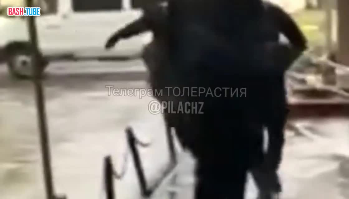  В Екатеринбурге задержали недо-скинхеда, который поддерживал РДК*