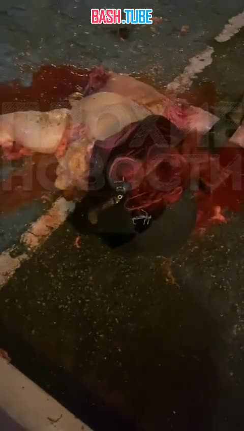  В Малайзии известная косплеерша покончила с собой после нападок из-за лишнего веса