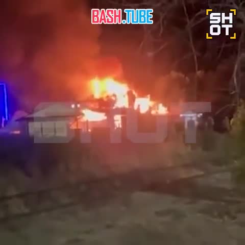  Здание дельфинария и крокодиловой фермы загорелось в городе Ейск Краснодарского края