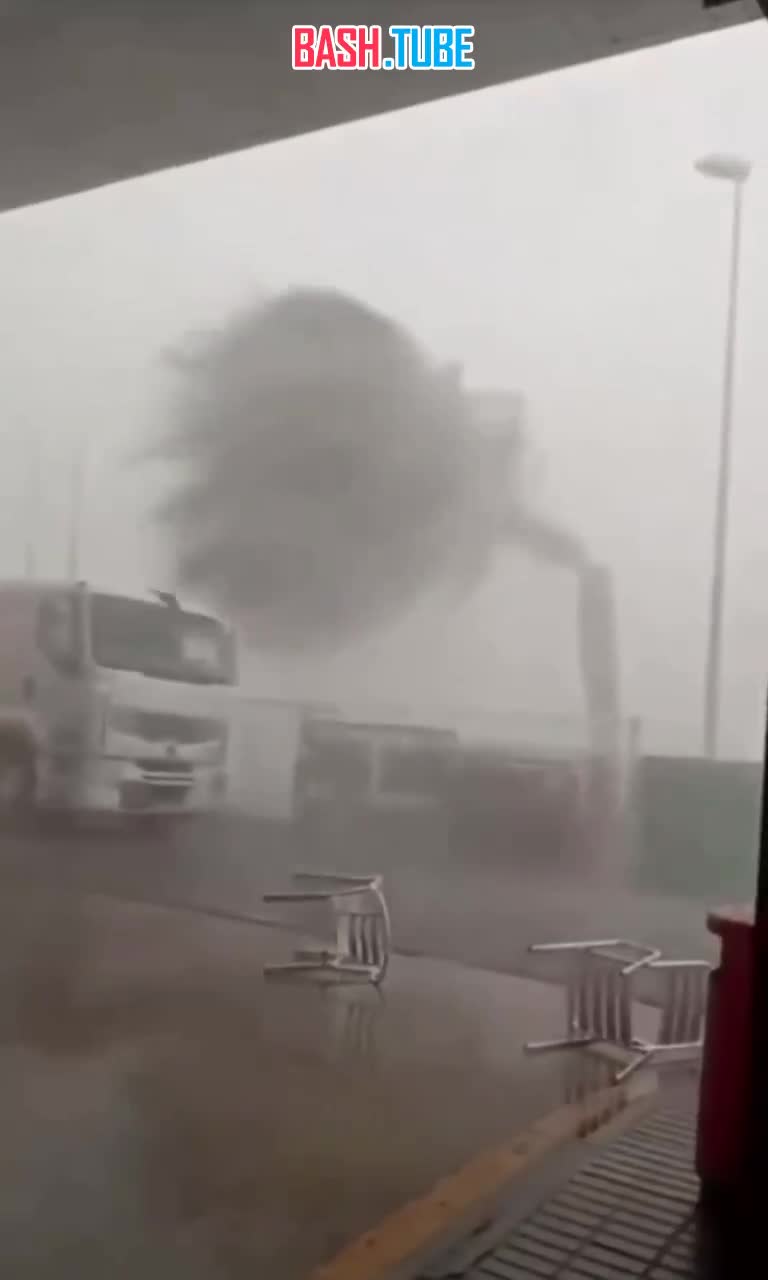  Сильный шторм обрушился на часть Испании: ветер валит деревья и срывает дорожные знаки, - местные СМИ