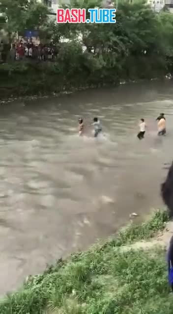  Жена экс-премьера умерла после нападения протестующих на их дом, протестующие заперли её внутри дома и подожгли его