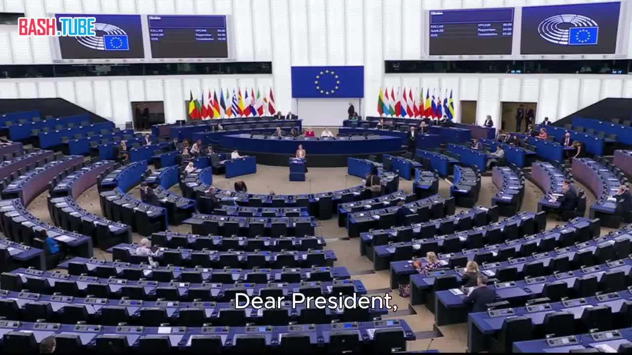  «Уважаемые члены Европейского парламента...»