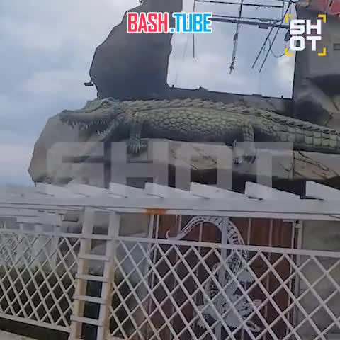  Все крокодилы и другие рептилии погибли в зоопарке в Ейске