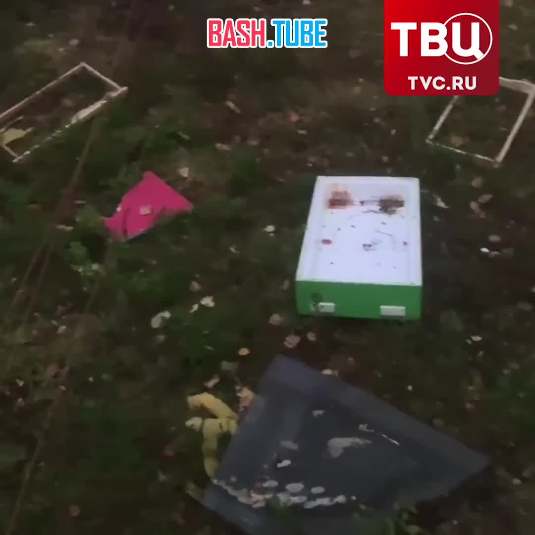  Медведь разгромил мурманскую пасеку и съел мед вместе с пчелами в одном из ульев