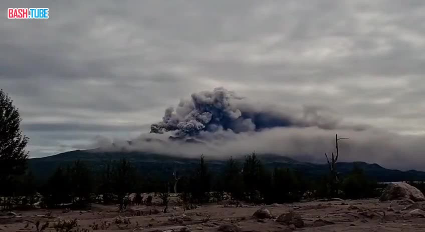  Вулкан Шивелуч активизировался на Камчатке