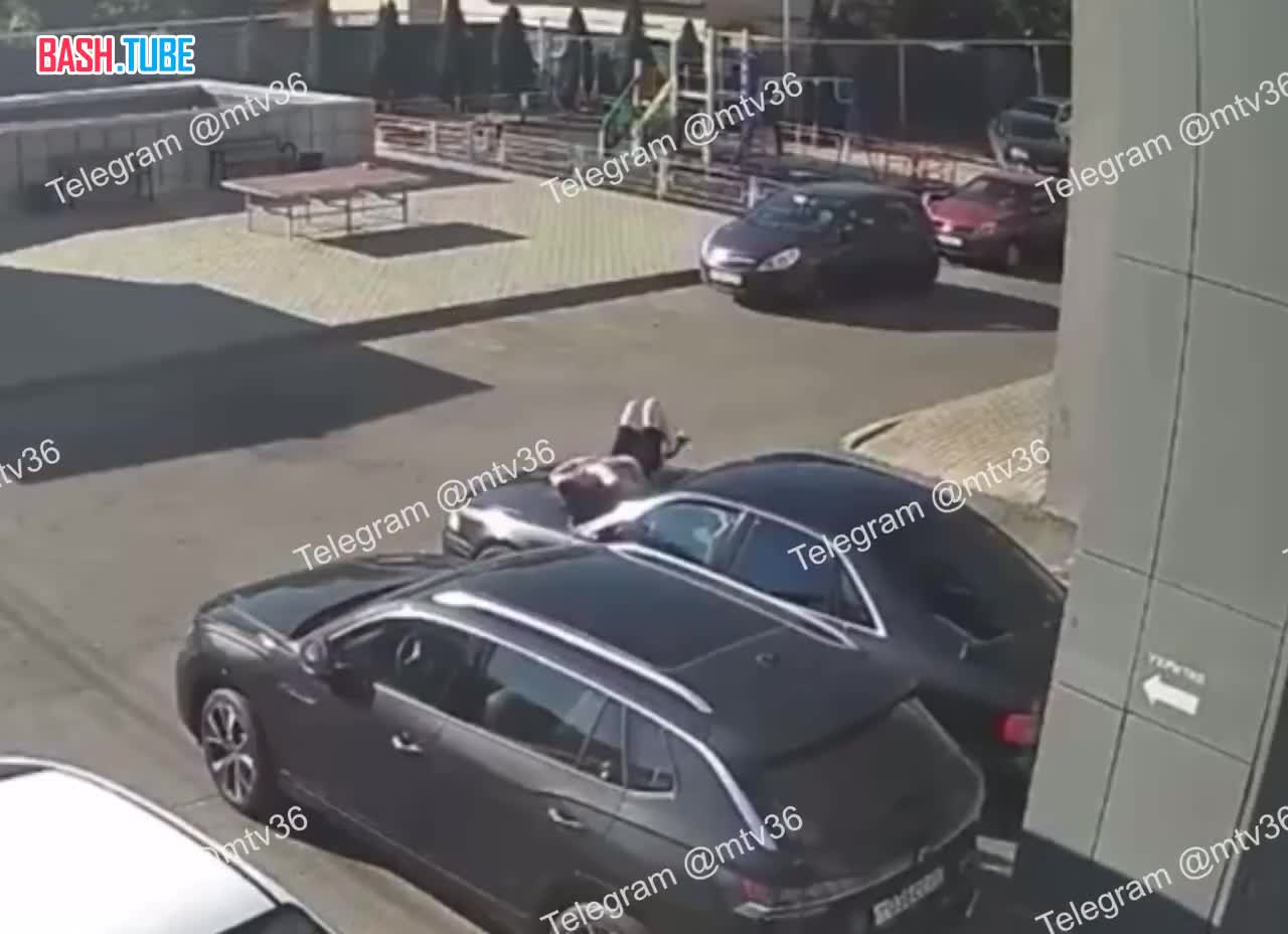  В Воронеже наркоман разгромил машины во дворе