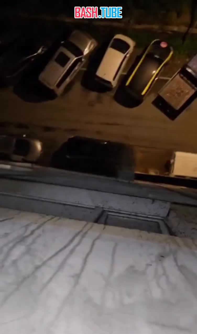  Огромные полчища тараканов по ночам штурмуют квартиры во Владивостоке