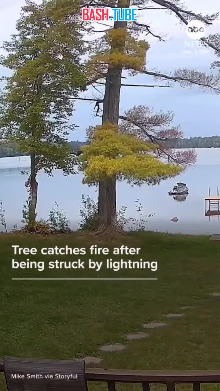  Момент удара молнией в дерево и его последующего возгорания попал на видео в американском штате Висконсин