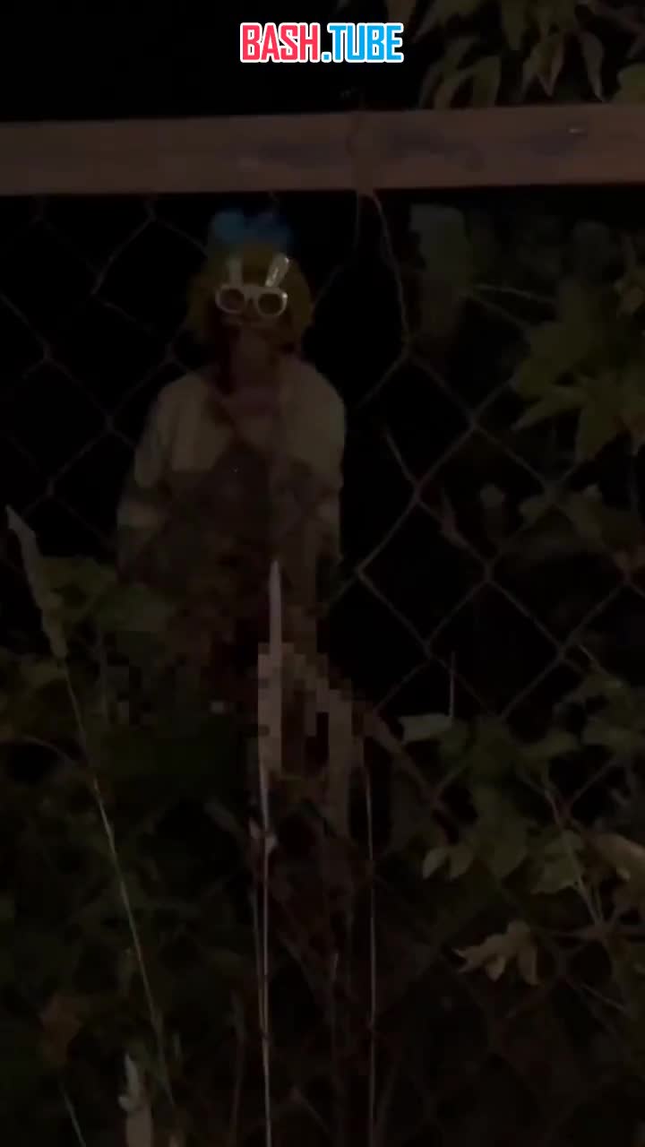  Извращенец в жёлто-голубом клоунском парике принялся маст... вать в кустах недалеко от крупного ТЦ в Самаре