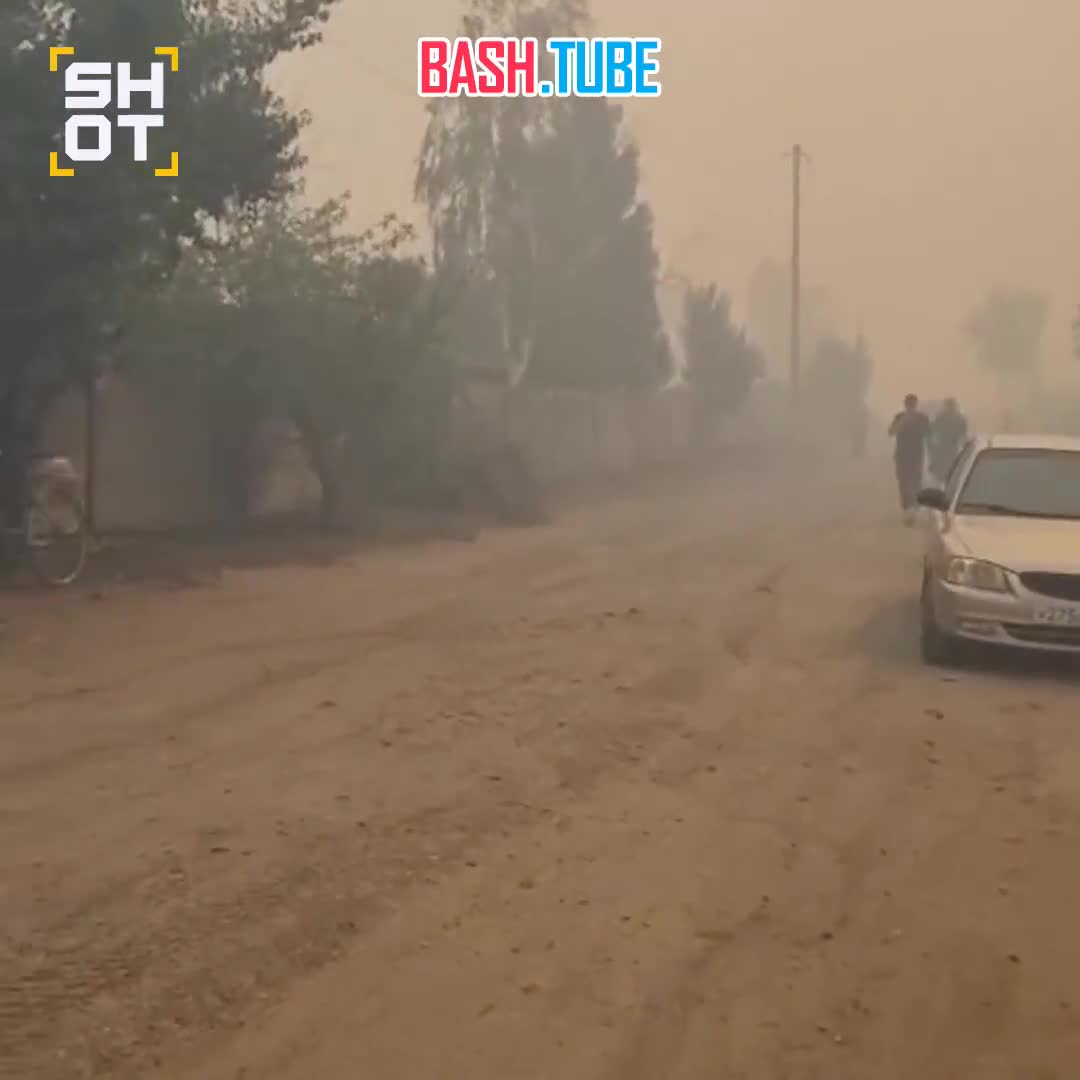  Мощный пожар в Ростовской области. Огонь подбирается к жилым домам