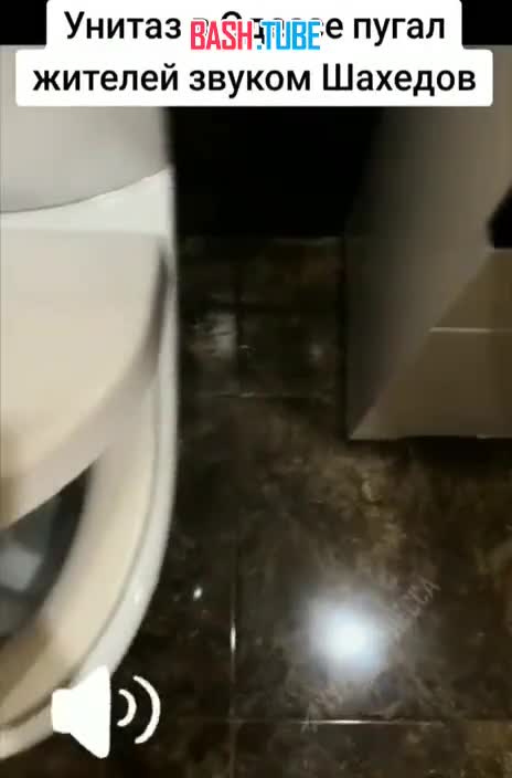  Даже унитазы против всушников