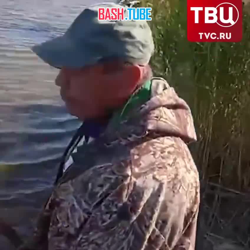  Пьяные рыбаки поймали на удочку дельфина в реке на Кубани