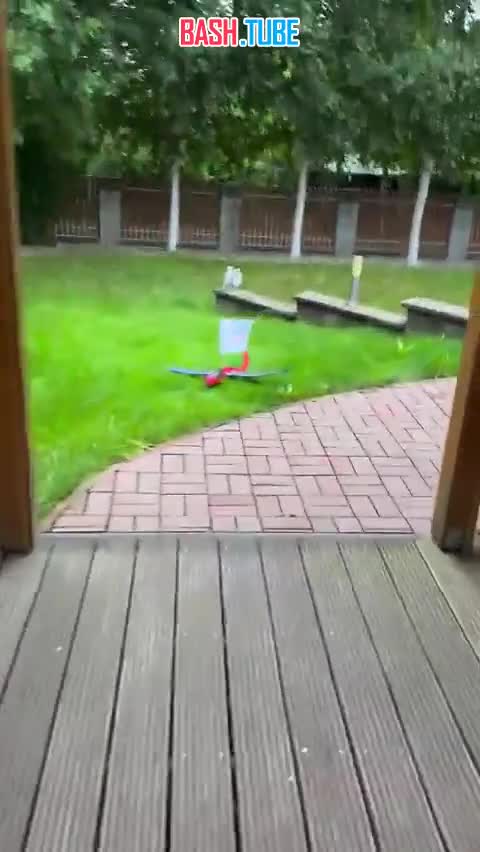  Польские соцсети развлекаются роликами про «русские» дроны