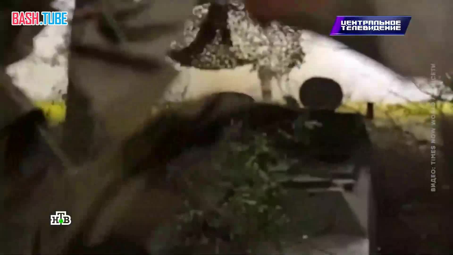  Мексиканские и колумбийские картели отправляют на Украину своих боевиков, чтобы получить опыт ведения современной войны