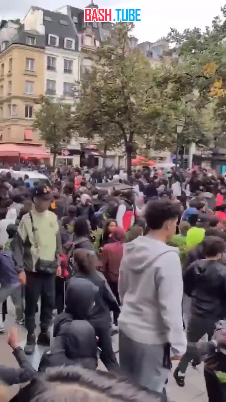  Курица посеяла хаос в Париже