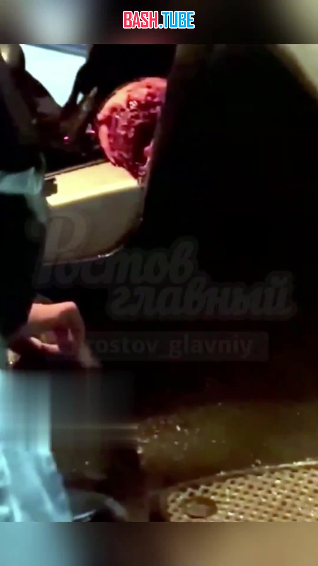  Арестован водитель Audi, сбивший школьниц в Волгодонске: появились жуткие кадры из салона машины Магомеда