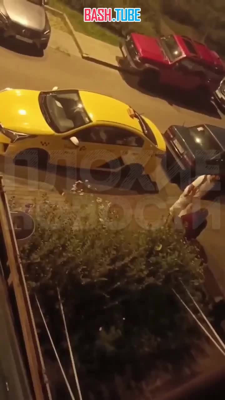  В Подмосковье пьяная парочка ночью устроила громкие разборки прямо у подъезда
