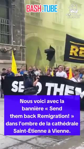  Массовая демонстрация против нелегальной миграции проходит в столице Австрии Вене