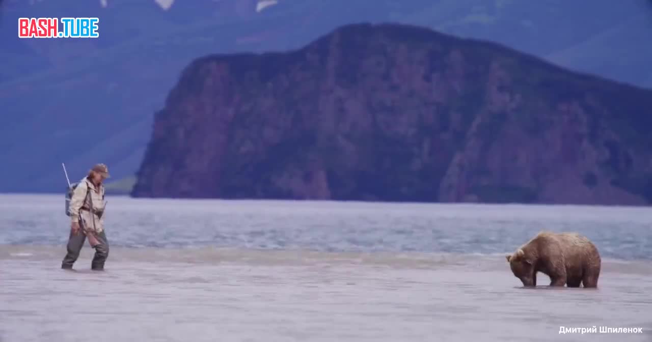  Медведя встретили инспекторы на реке Хакыцин