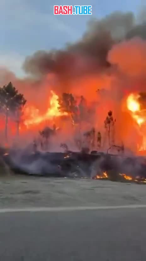  Масштабные лесные пожары охватили коммуну Венако на французском острове Корсика