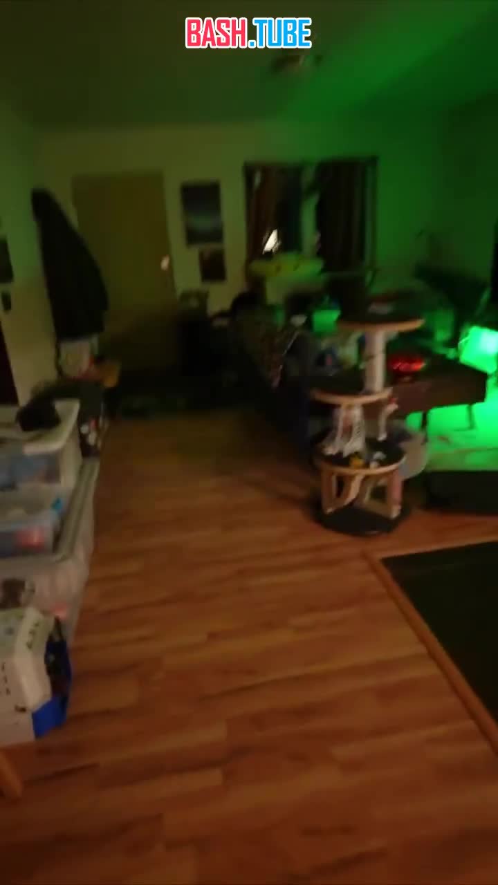  Волшебство на Аляске: парень просто открыл входную дверь и увидел ярчайшее северное сияние