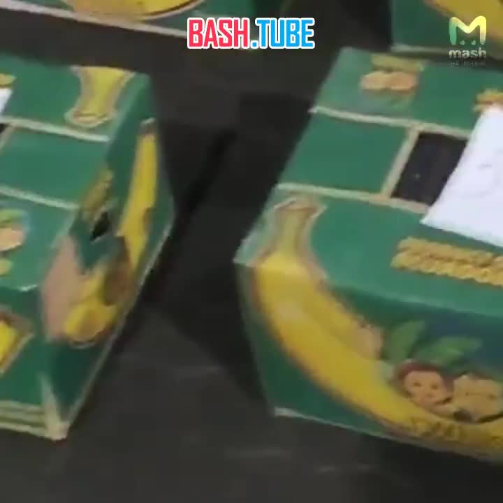  Крупнейшую контрабанду в 1,5 тонны кокаина на 20 ярдов рублей попытались провезти через Питер из Эквадора - под видом бананов