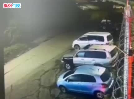  «Камчатский Марио» вскочил на крышу машины, чтобы избежать нападения медведя