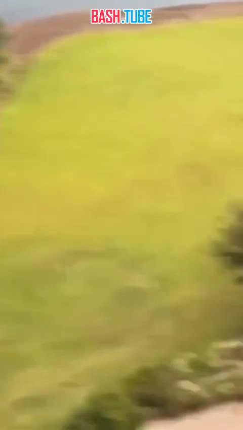  Во Флориде негр, просто так пырнувший ножом двух женщин, утонул в пруду при попытке скрыться с места преступления