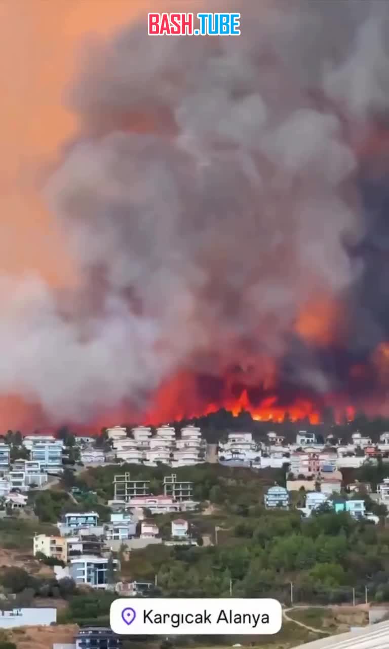  Лесной пожар в турецкой Аланье из-за сильного ветра приблизился к жилым кварталам