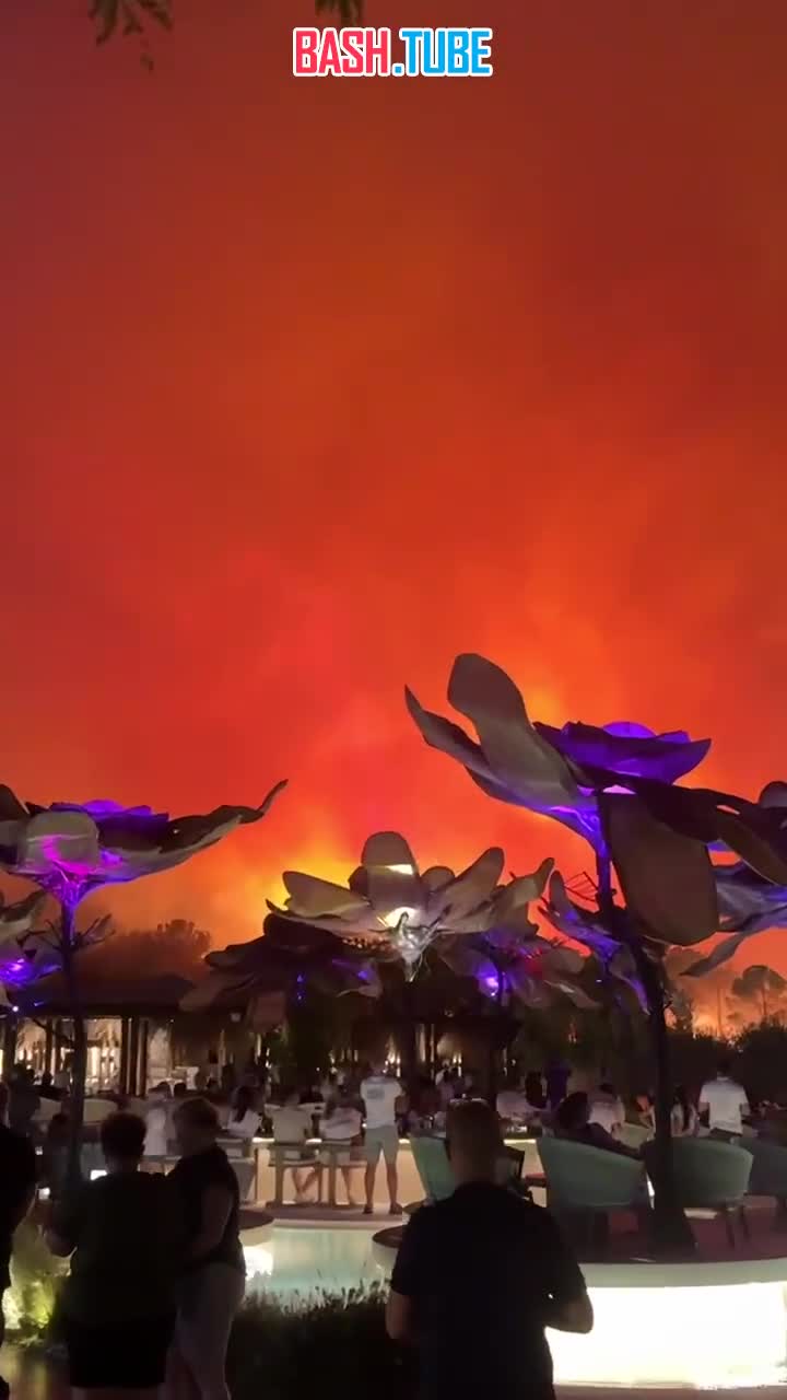  Пока отель стоит, россияне уезжать не планируют