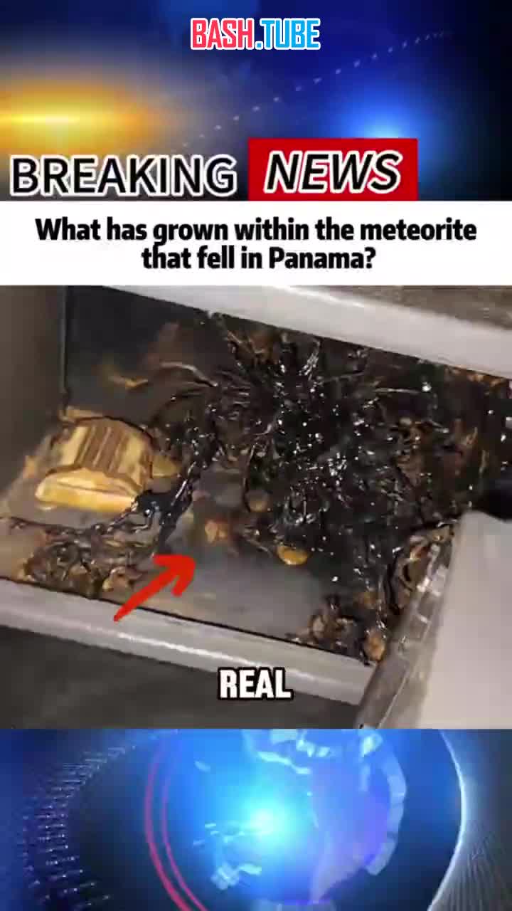  Видео из Панамы, где местный житель утверждает, что из обнаруженного им обломка метеорита начали расти органические структуры